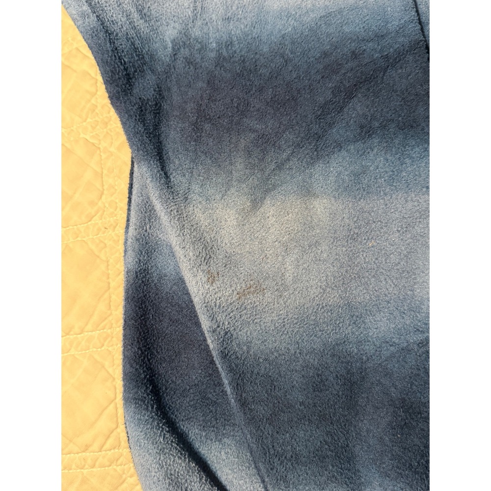 Patagonia Synchilla Snap-T Fleece Pullover Mens Large Blue Striped retired rare - Picture 3 of 16
